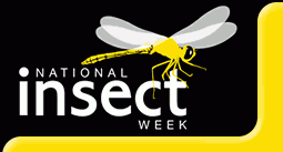 National Insect Week Logo
