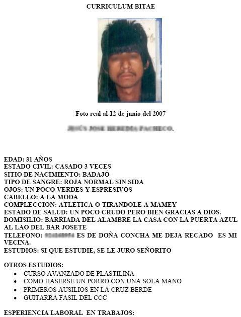 Curriculum vitae chiste 06 image