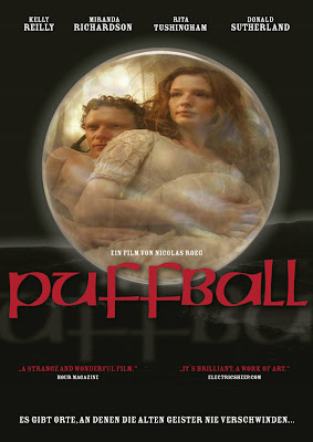 http://4.bp.blogspot.com/_kKR25kNxoR4/SuG7g2mZDoI/AAAAAAAAAY0/krbRYCgWKR8/s400/puffball.jpg