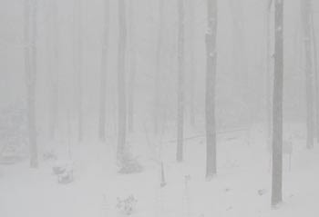 hazy snow scene horizontal