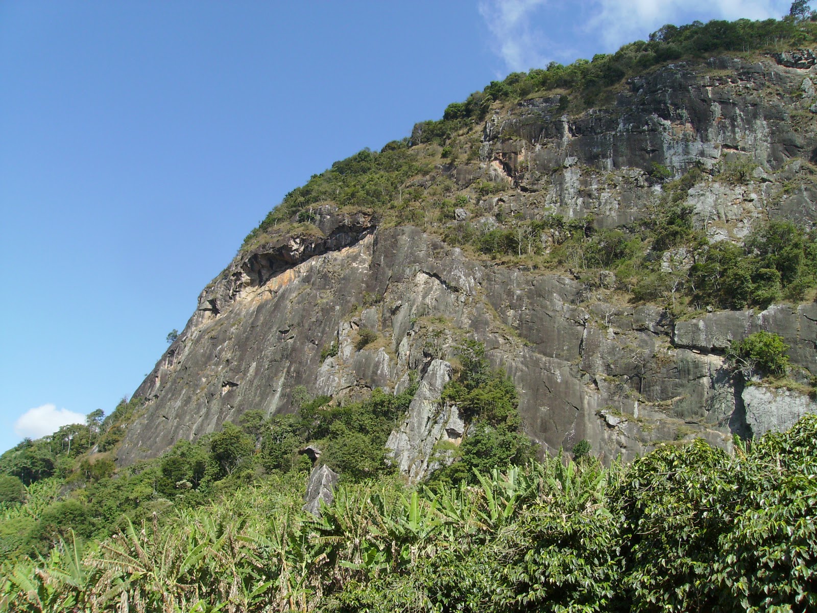 [PICT0049.JPG]