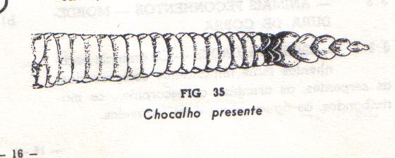 [litorau 001.jpg]