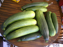 From the garden