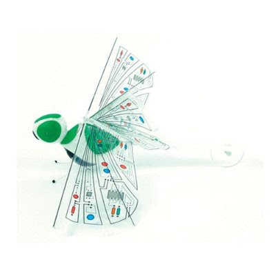 Dragonflies+cartoon+show