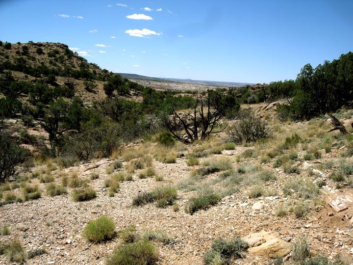[landscape2.jpg]