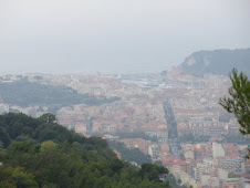Nice Ville from the Observatoire