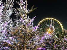 Christmas Trees and Ferris Wheel