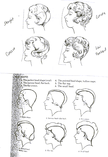  which face shape you have. As well, as what to aim for in your hairstyle 