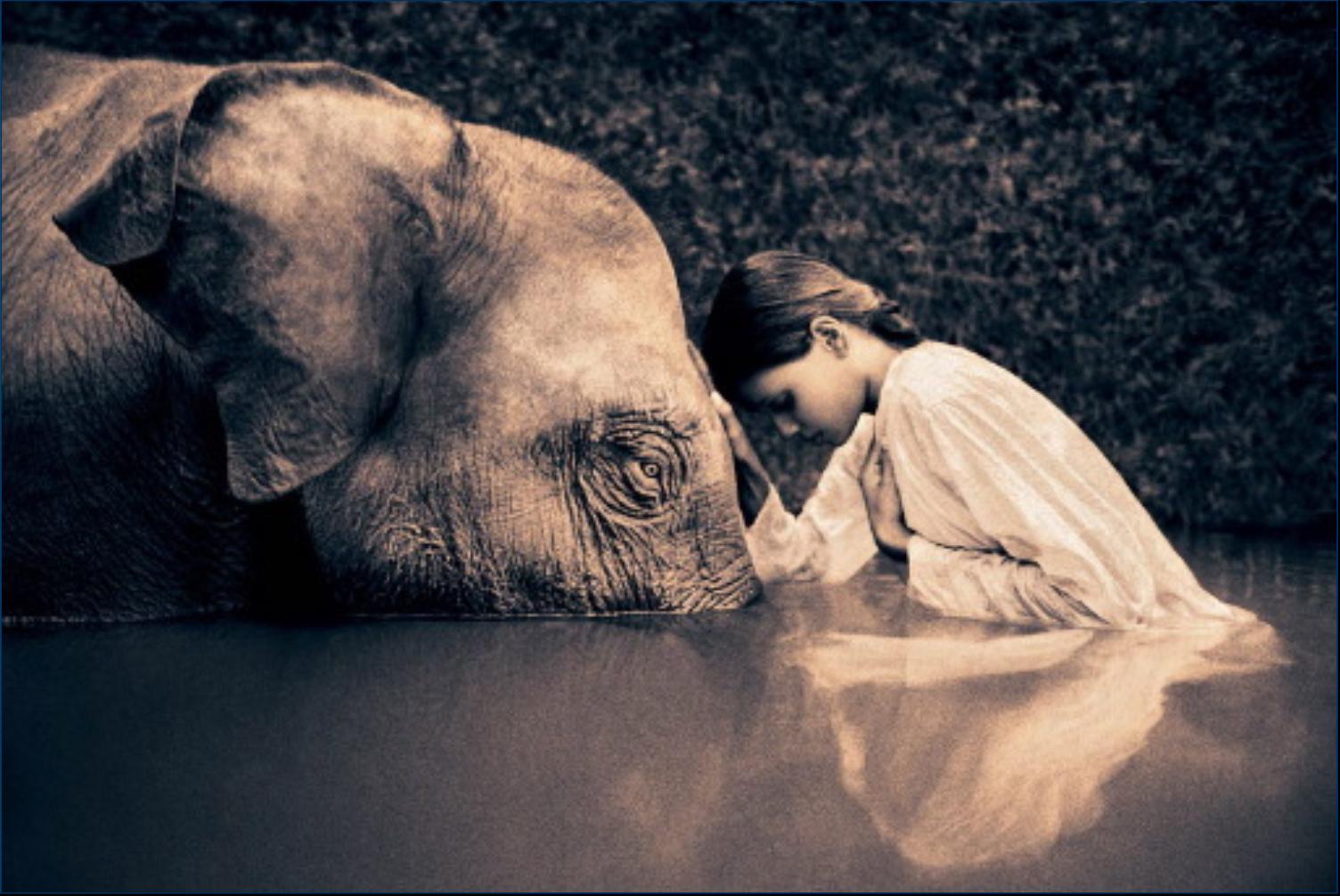 [niña.elefante.jpg]