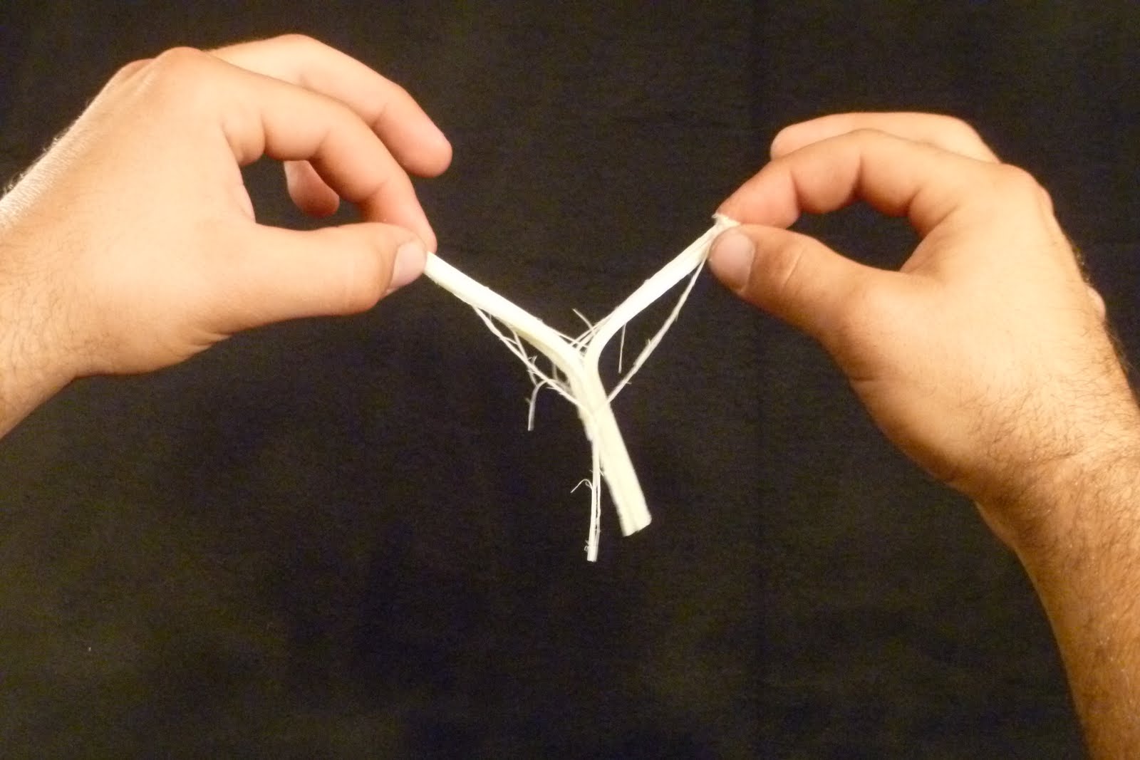 drjunkfood The String Cheese Incident