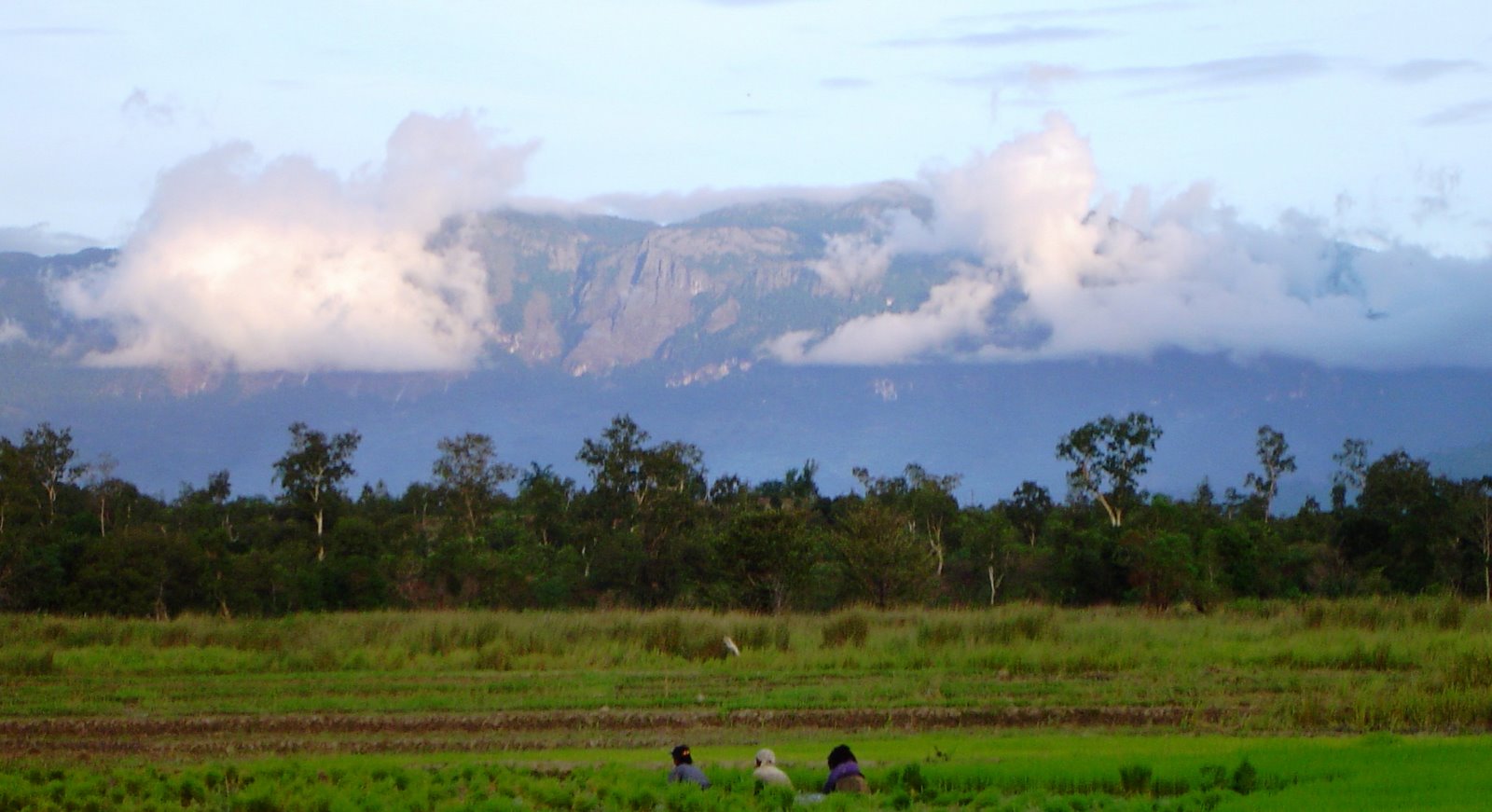 [Bobonaro-787742.JPG]