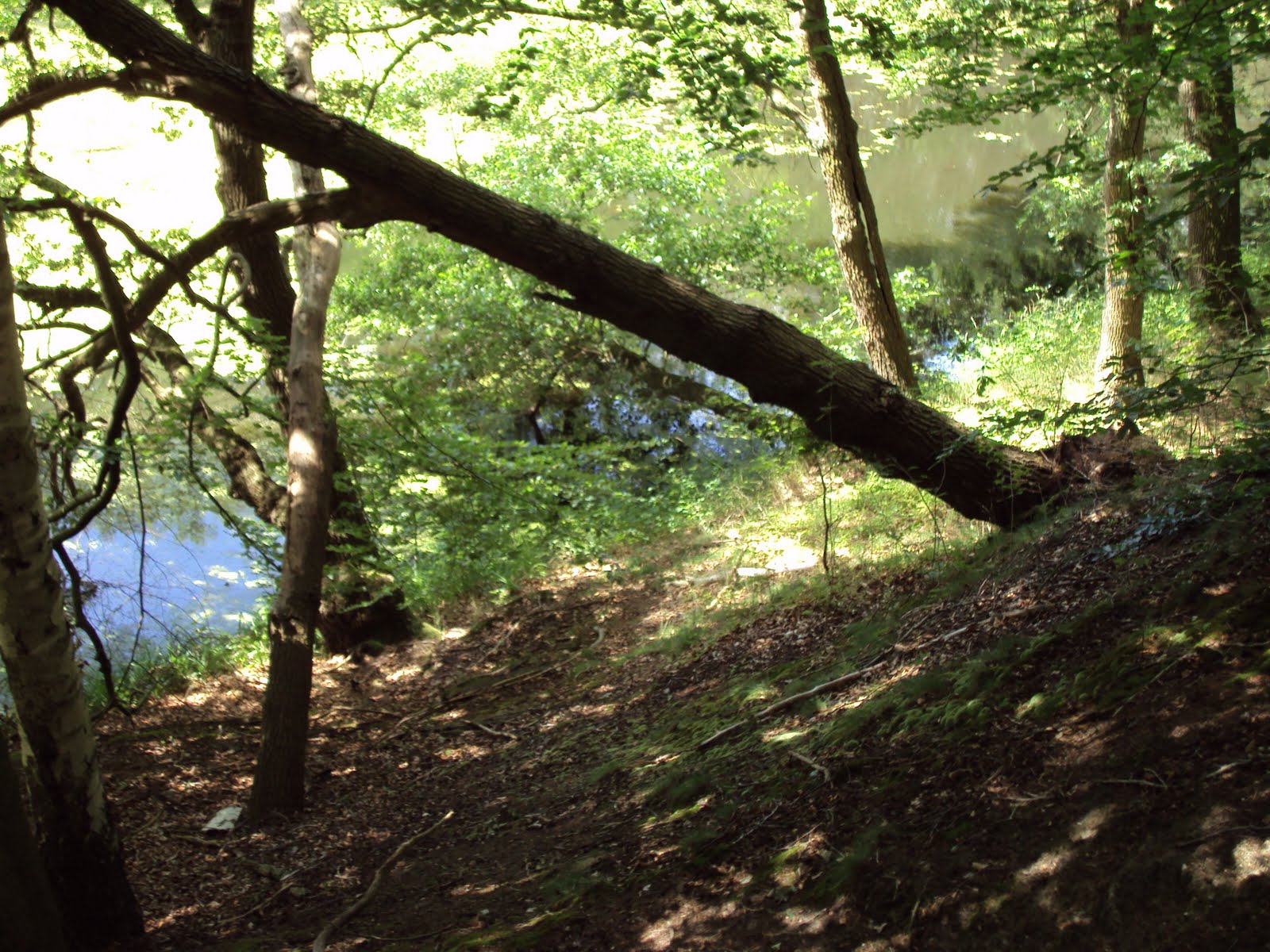 Wandelen in duitsland: augustus 2010 Vorstelijk witte keuken