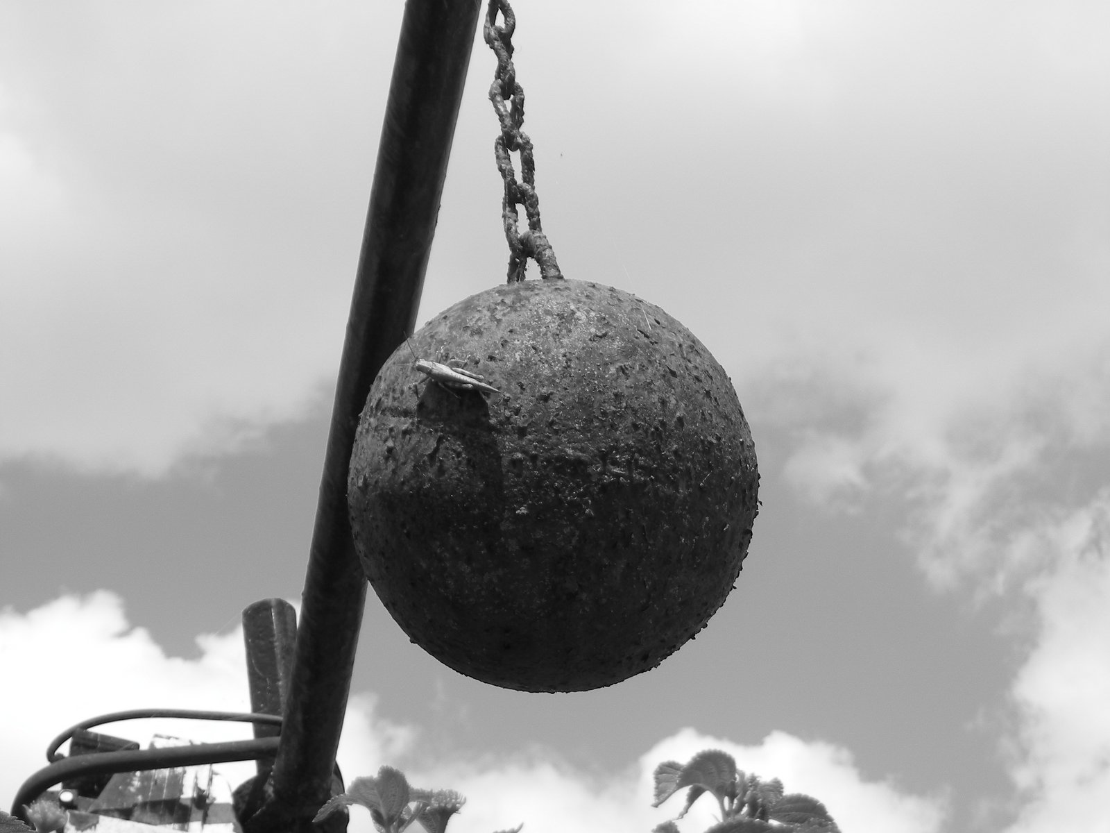 [SANTO_CRISTO_MAIO_2007+011.jpg]