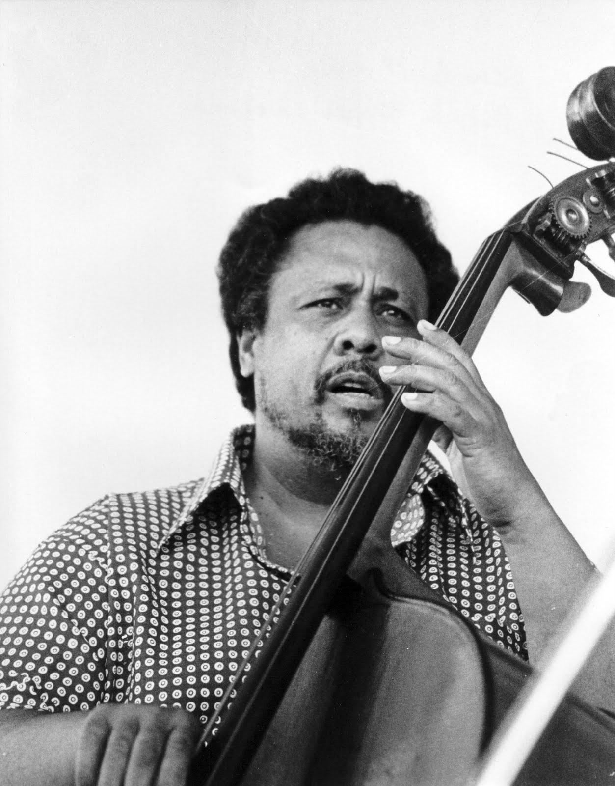[Mingus.jpg]