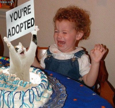 funny birthday quotes for brother. funny birthday quotes for