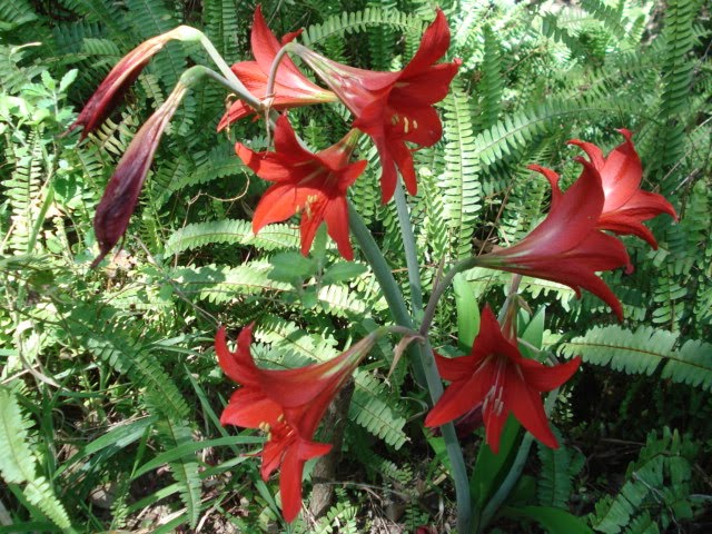 [DSC02669.JPG]