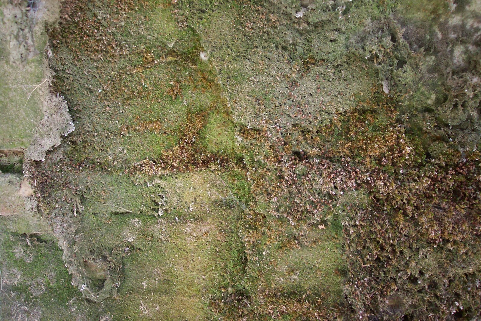 [DCP_8621.JPG]