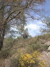 Mi foto