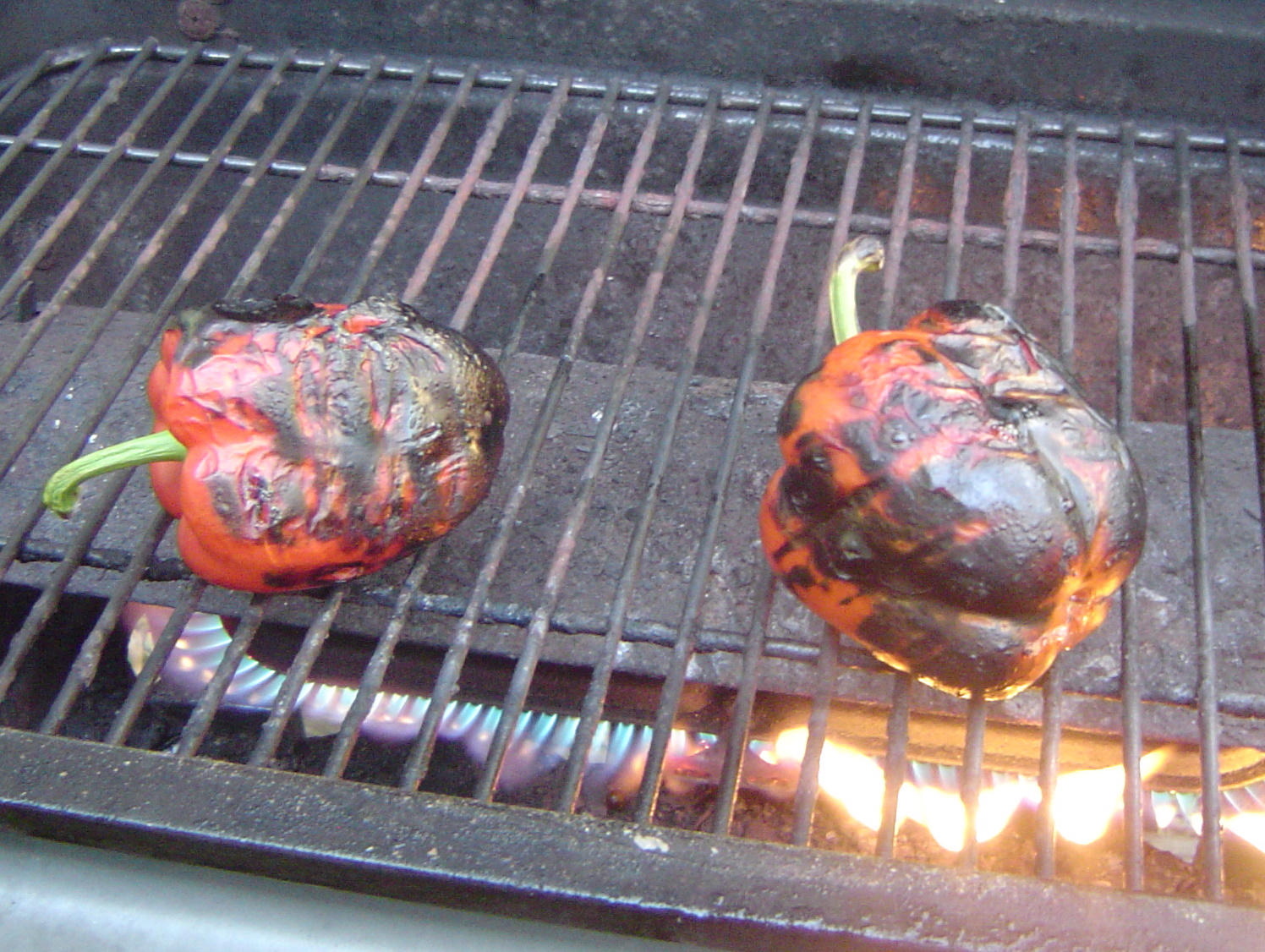 Kitten with a Whisk How to Basics Roasted Red Bell Peppers