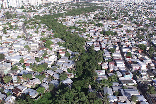 El Caño desde arriba