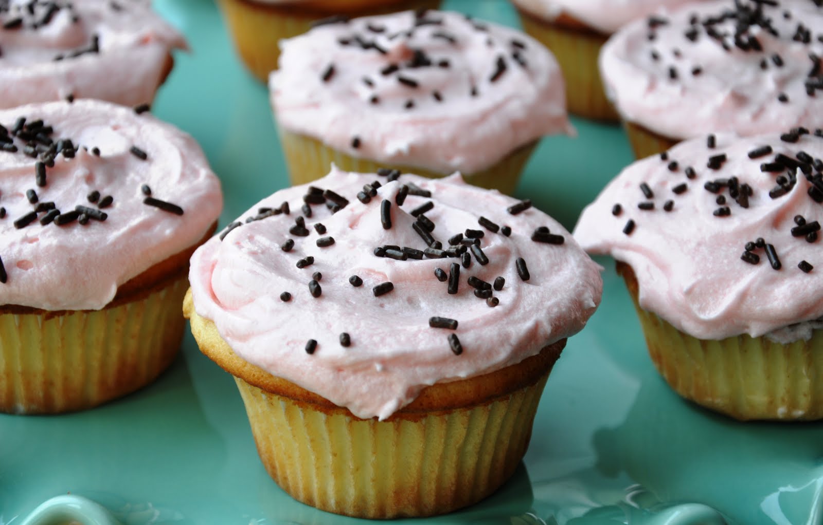 NYC's Famous Magnolia's VanillaVanilla Cupcakes (REDUCED FAT) & A