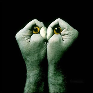 http://4.bp.blogspot.com/_kQ7_HBVRXV0/S3FHd2TNlZI/AAAAAAAAAIA/yHOCyU4ZP2s/s320/Picture17.jpg