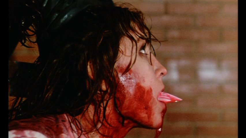 [PDVD_063.BMP]