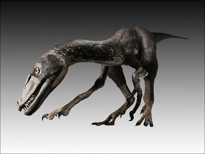 Dilong paradoxus Dilong paradoxusDilong paradoxus