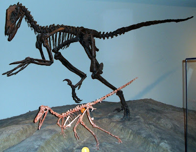Arctic and Antarctic dinosaurs Arctic and Antarctic dinosaurs