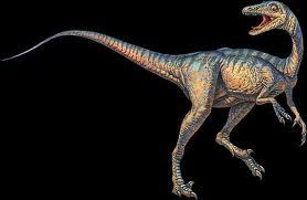 Troodon-The Smartest Dinosaur Troodon-The Smartest Dinosaur