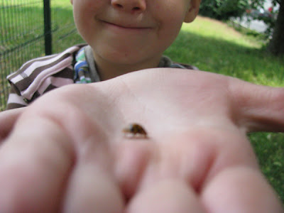 Manuela, die Insektenforscherin