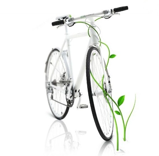 eco bicycle