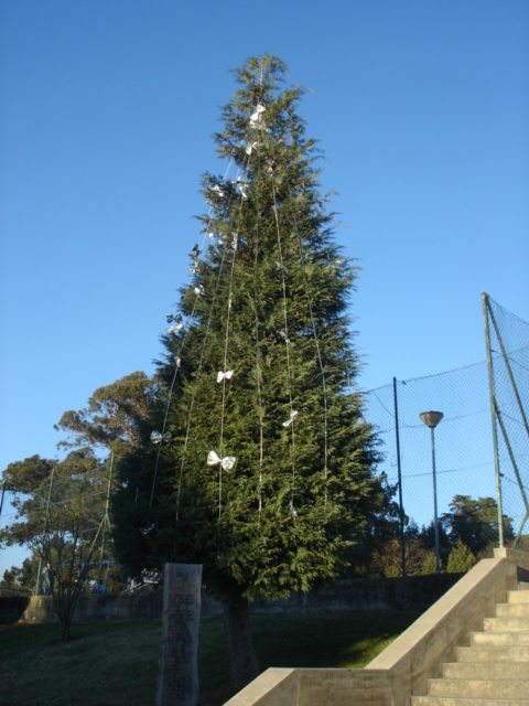 [DSC06275.JPG]