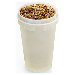 Sprouting for Parrots: Organic Bird Sprouts easy sprout sprouter Sprouting for Parrots: Organic Bird Sprouts