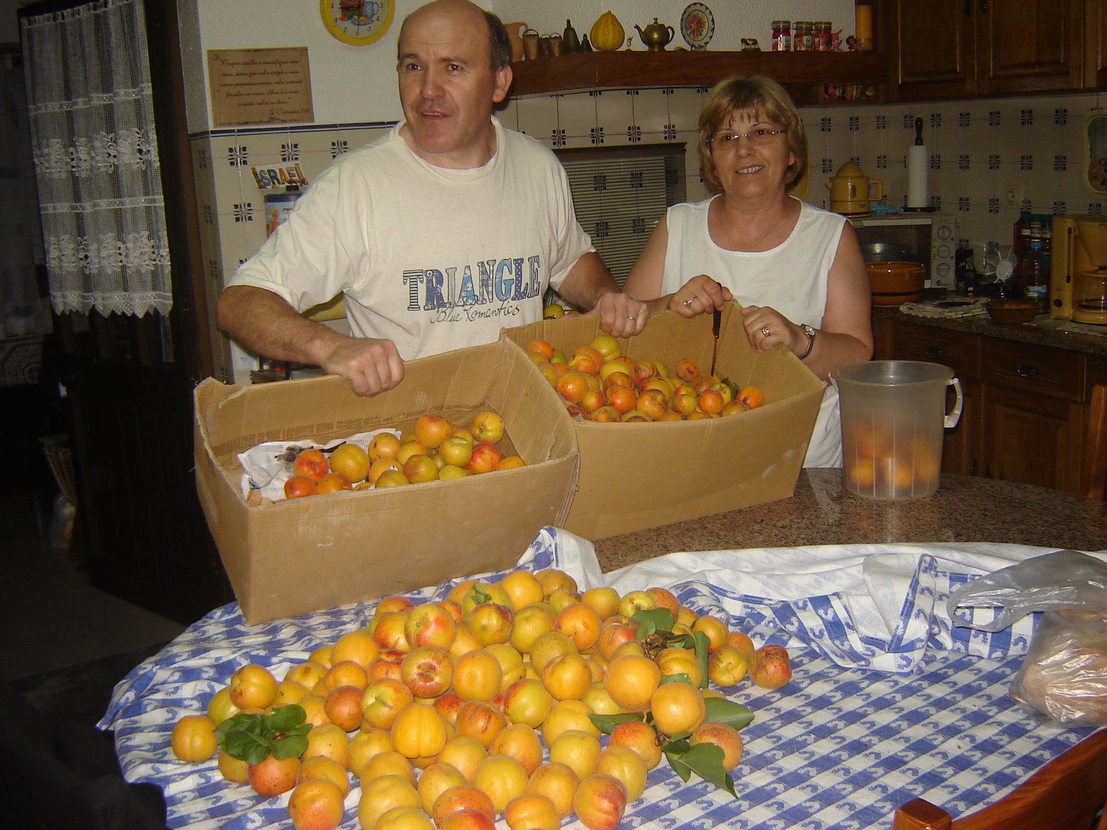 [DSC09793.JPG]