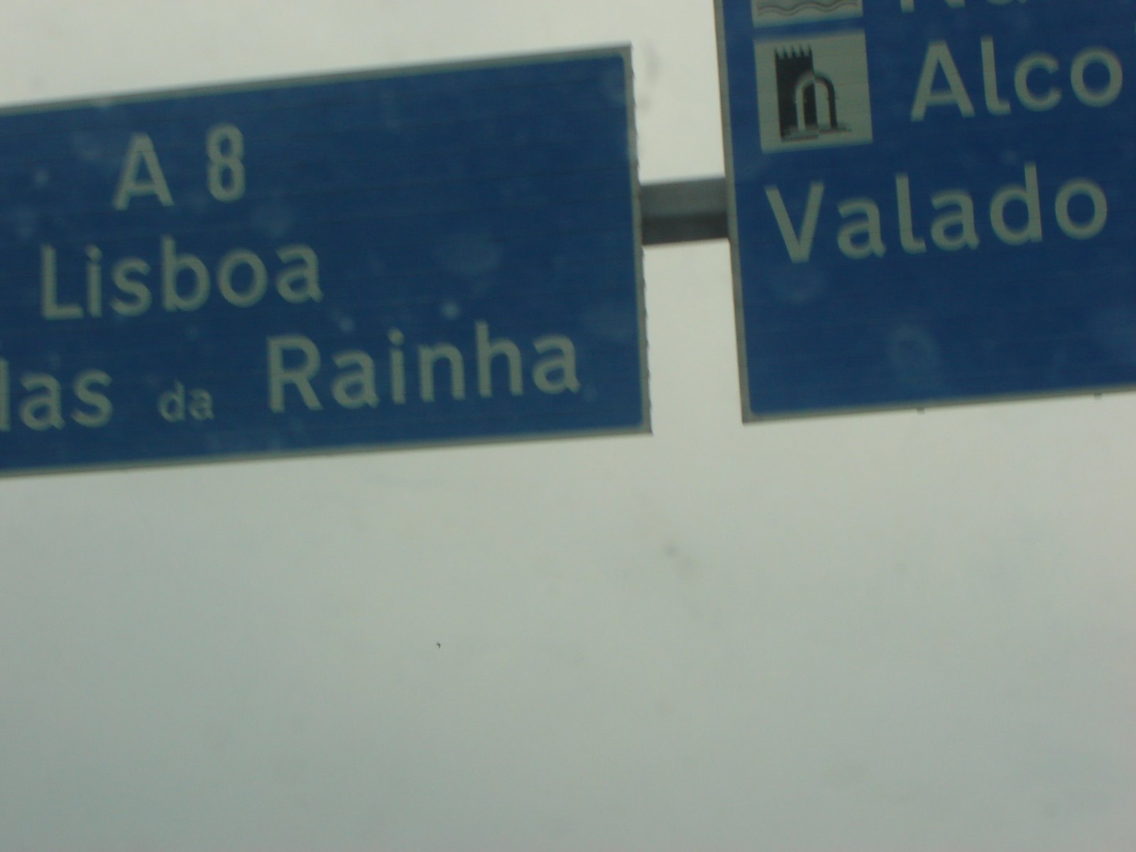 [DSC09842.JPG]
