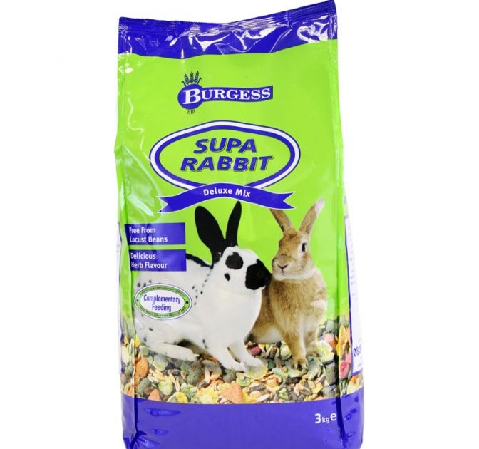 Rabbit Care Guide Understanding the Best Rabbit Food