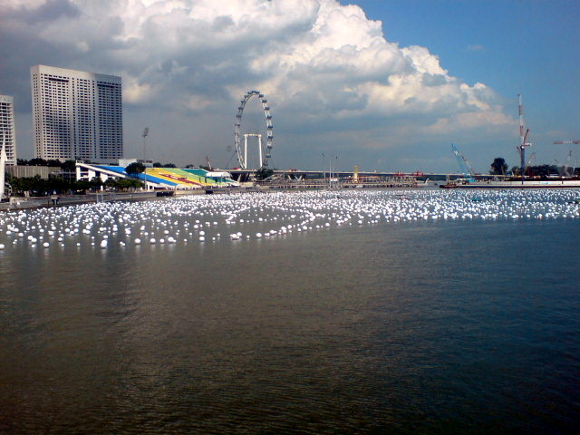 [DSC08774.JPG]