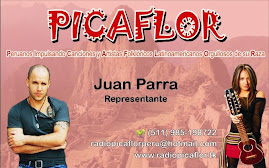 Radio Picaflor