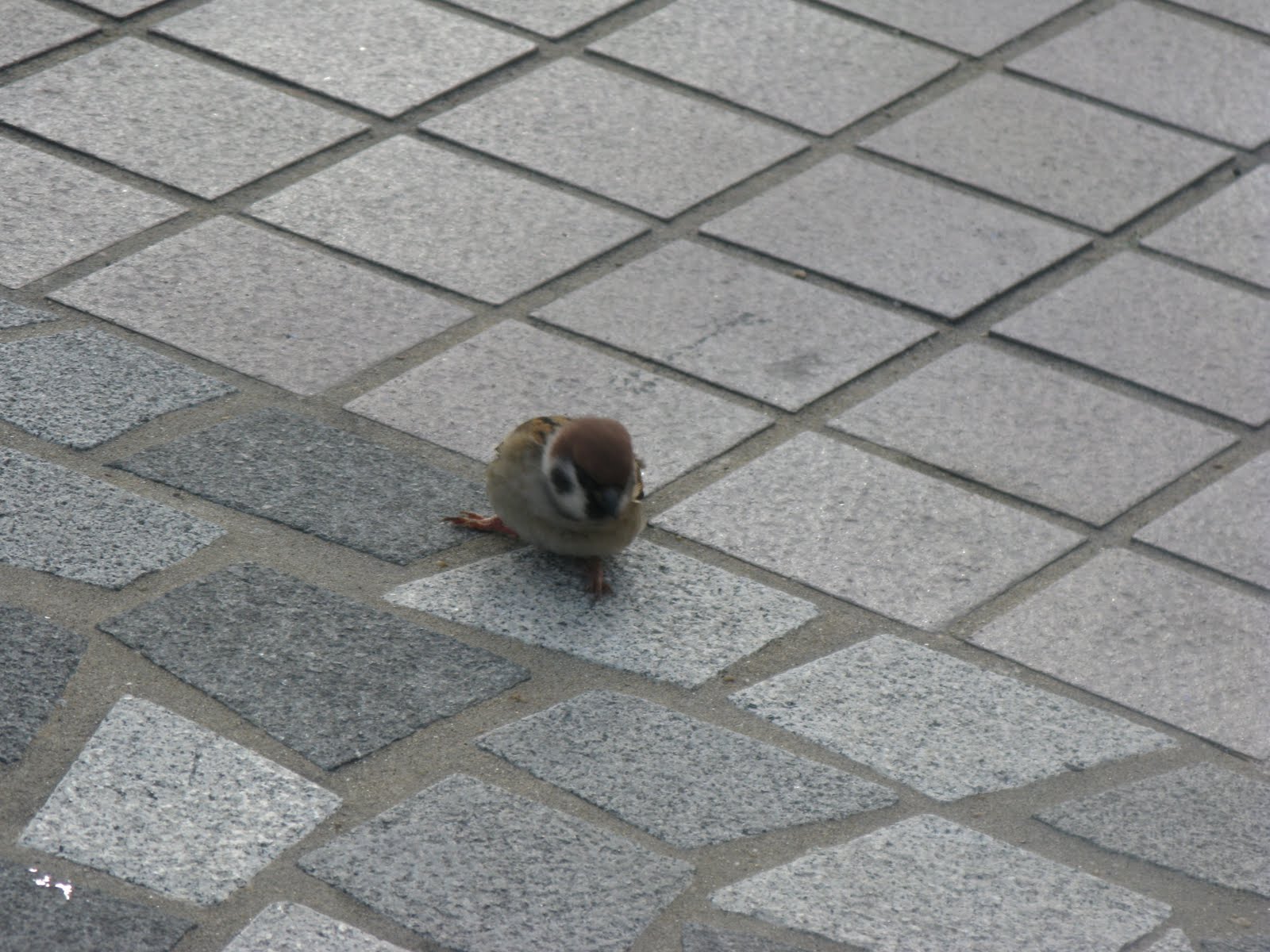 [IMG_1870.JPG]