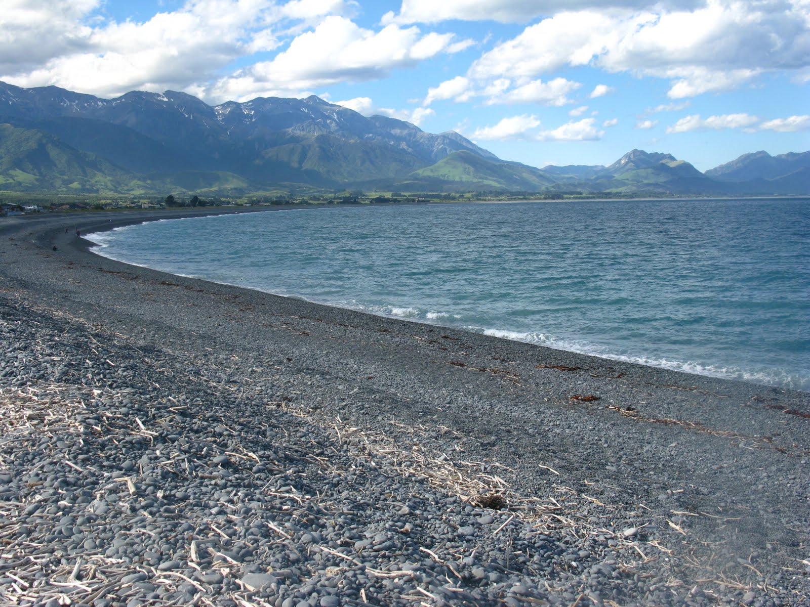 [IMG_2587.JPG]