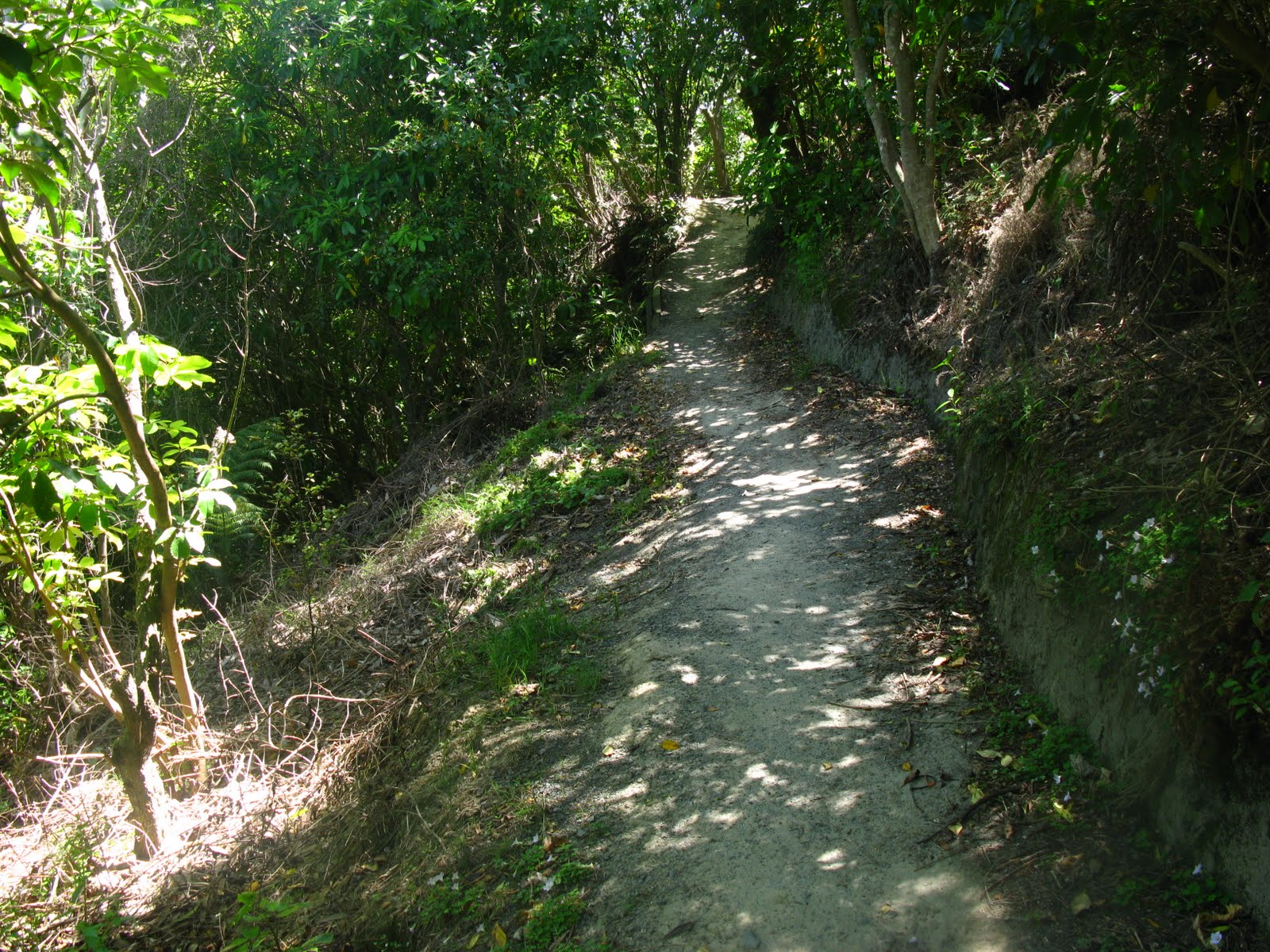 [IMG_2684.JPG]