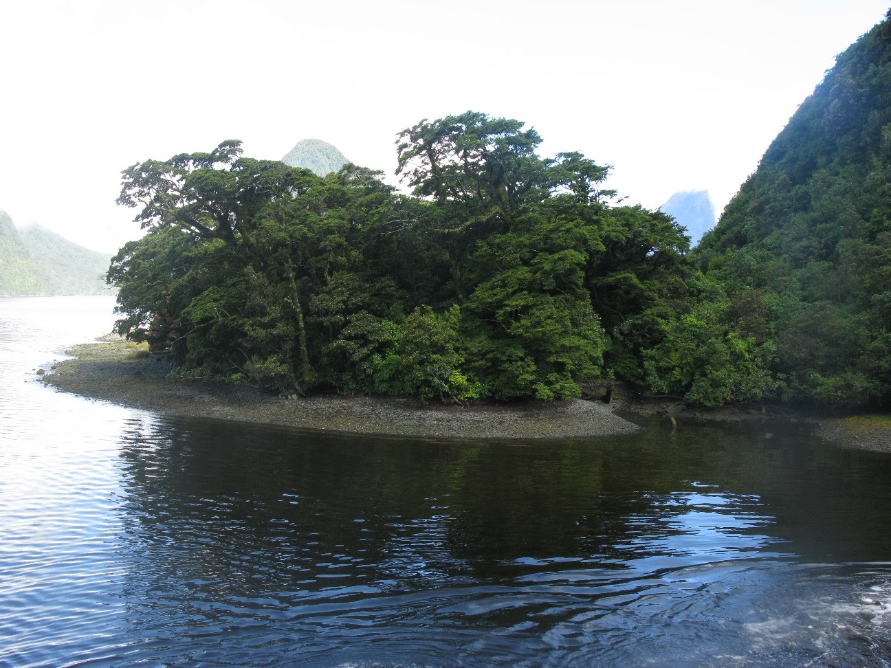 [IMG_3316.JPG]