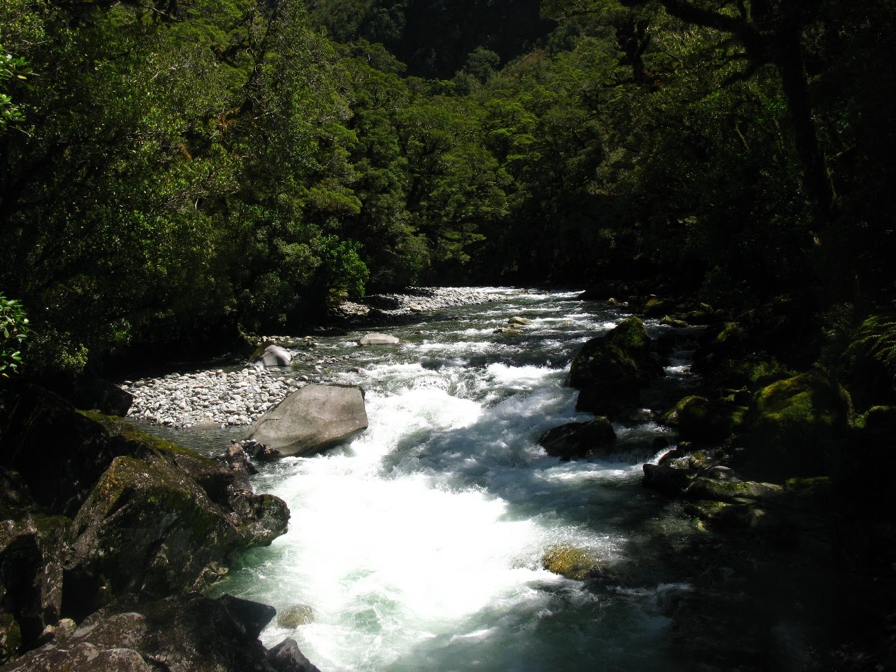 [IMG_3520.JPG]