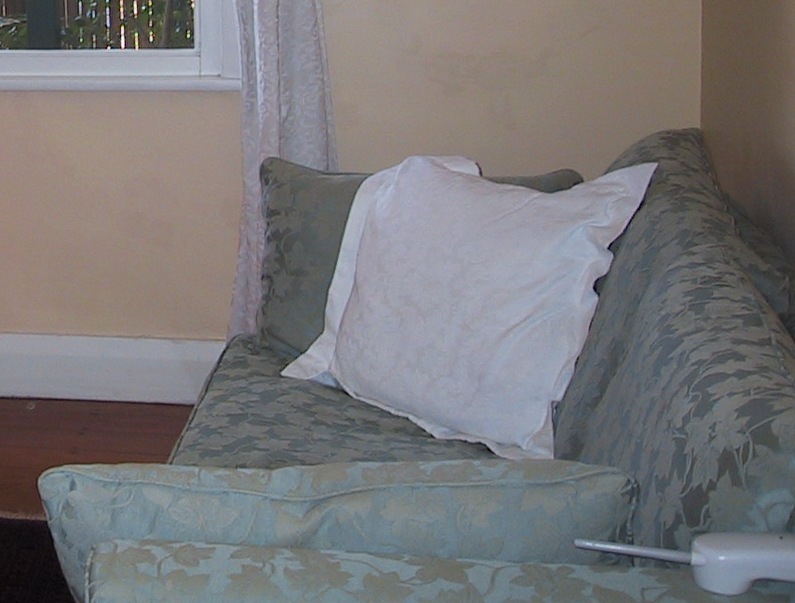 Lilyfield Life Recovering a sofa bed / lounge