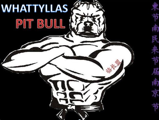 ๖ۣۜWHATTYLLAS™  PIŤ ๖ۣۜBULL͡ °_̯͡°