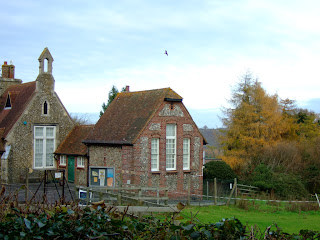 Red Kite over Ibstone