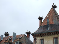 Munster Storks