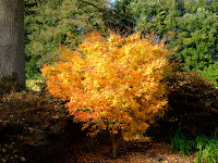 Wakehurst Place