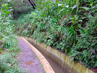 Levada dos Tornos